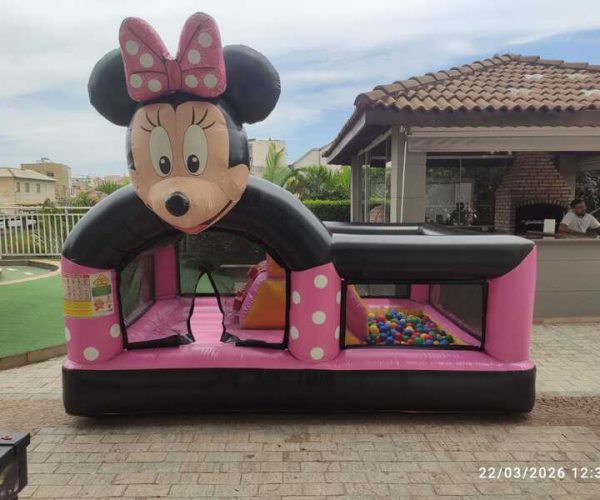 Minnie Pocket