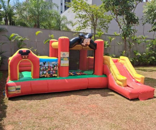 Multiplay Mickey