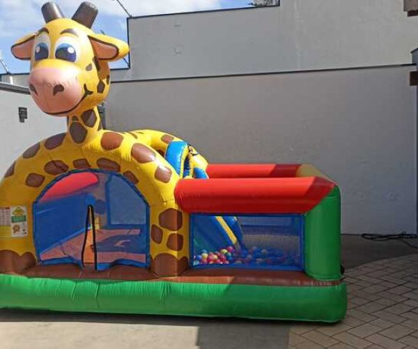 Girafinha Pocket